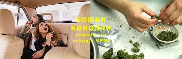гашик Арсеньев