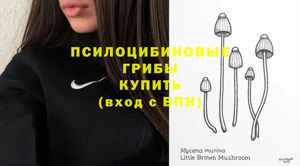 мяу мяу мука Алзамай