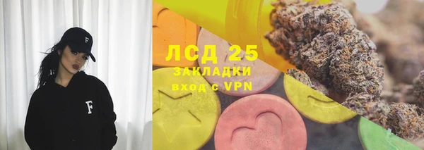 гашик Арсеньев