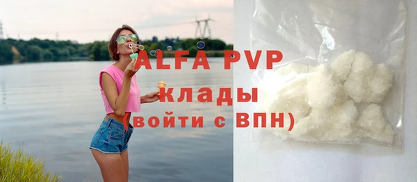 гашик Арсеньев