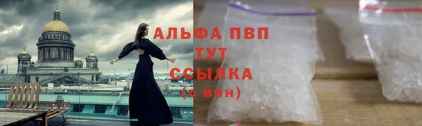 гашик Арсеньев