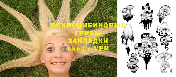 mix Аркадак