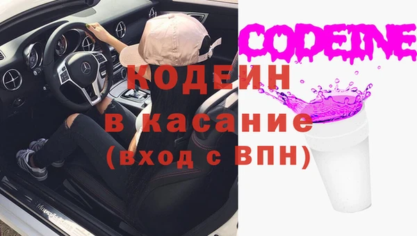 гашик Арсеньев