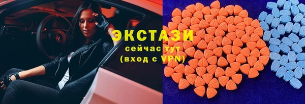 гашик Арсеньев