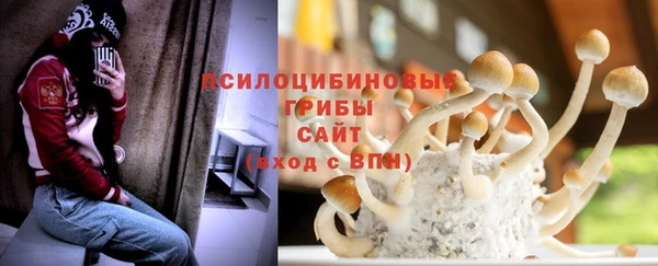 гашик Арсеньев