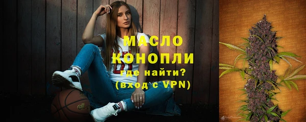 Альфа ПВП Инсар
