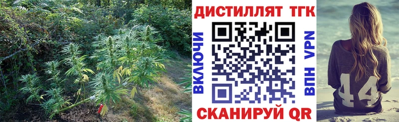 blacksprut маркетплейс  Аша  ТГК Wax 